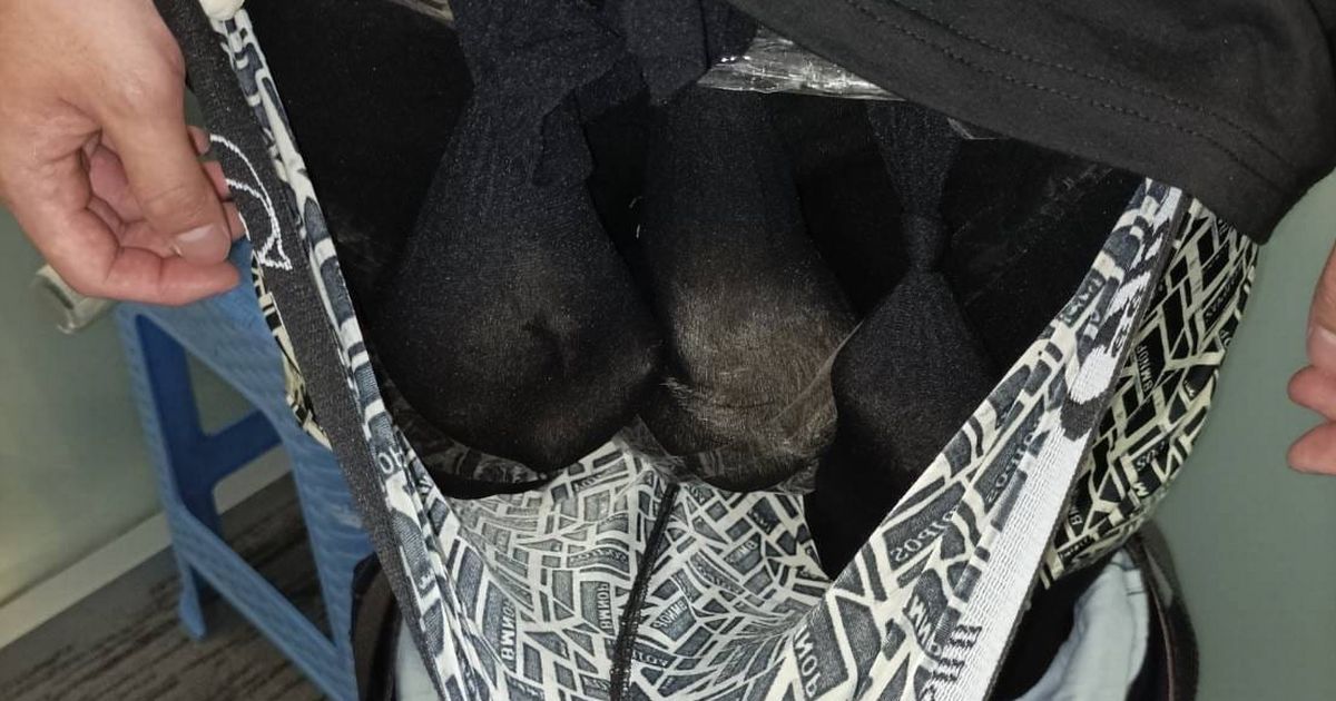 Bloke’s bulge causes stir as he’s caught with live otters stuffed down his pants