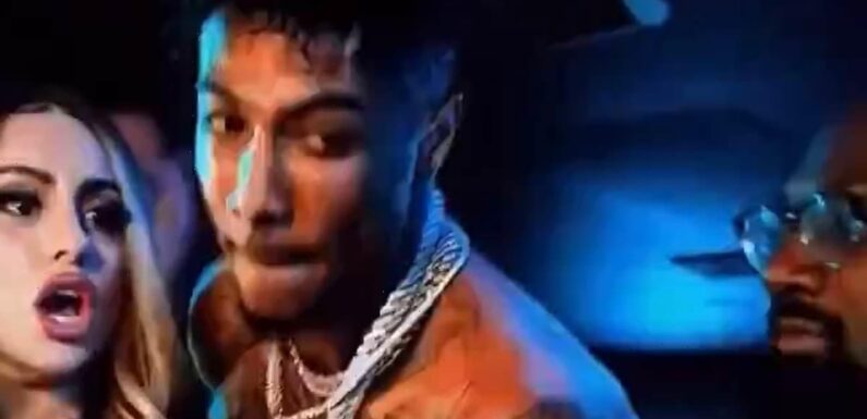 Blueface calls fan up on stage and tells his team 'get her'