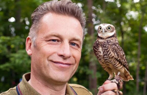 Chris Packham ‘removed from role’ as BBC presenter was ‘becoming too political’