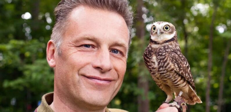 Chris Packham ‘removed from role’ as BBC presenter was ‘becoming too political’