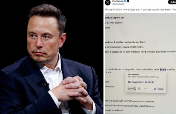 Elon Musk SLAMS Microsoft Word's inclusiveness checker