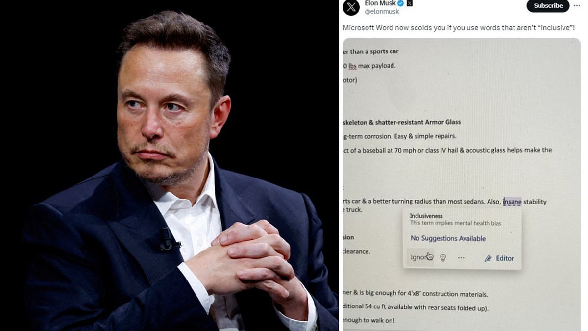 Elon Musk SLAMS Microsoft Word's inclusiveness checker
