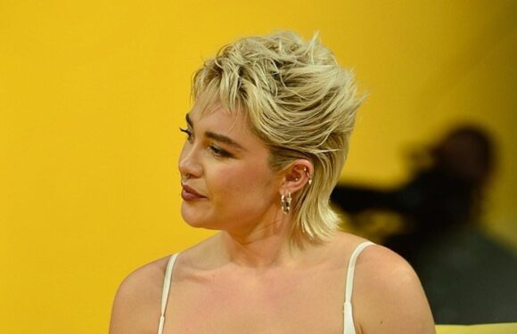 Florence Pugh is hit in face by thrown object at event in Brazil