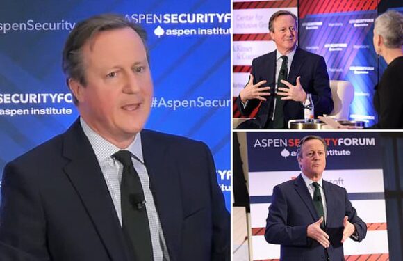 Foreign Secretary David Cameron warns world order will NOT 'snap back'