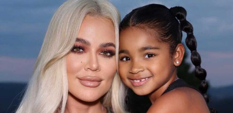 Khloe Kardashian gives rare look at daughter True’s all-pink over-the-top bedroom including lit-up Christmas tree & pony | The Sun