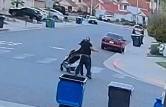 Moment stranger walks up to man pushing a stroller and punches him