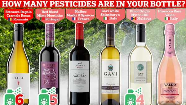 More than HALF of wines sold on British high street contain pesticides