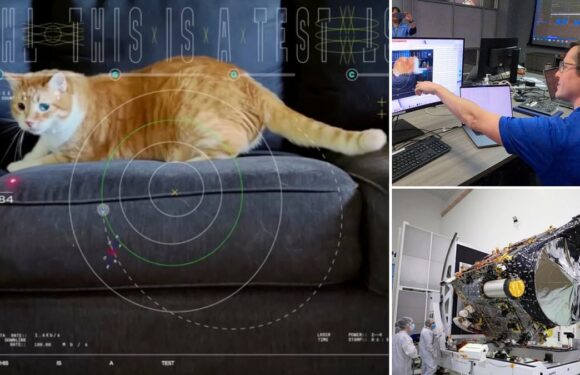 NASA tests a new laser by beaming a video of a CAT from a spaceship
