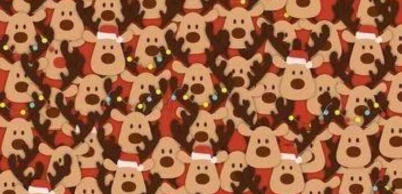 Only those with 20/20 vision can spot the hidden Rudolph in under 14 seconds