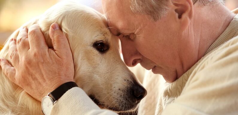 People over 65 who own a dog are 40% less likely to develop dementia
