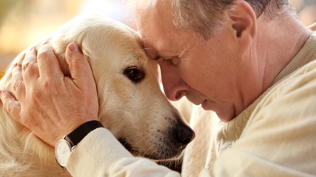 People over 65 who own a dog are 40% less likely to develop dementia