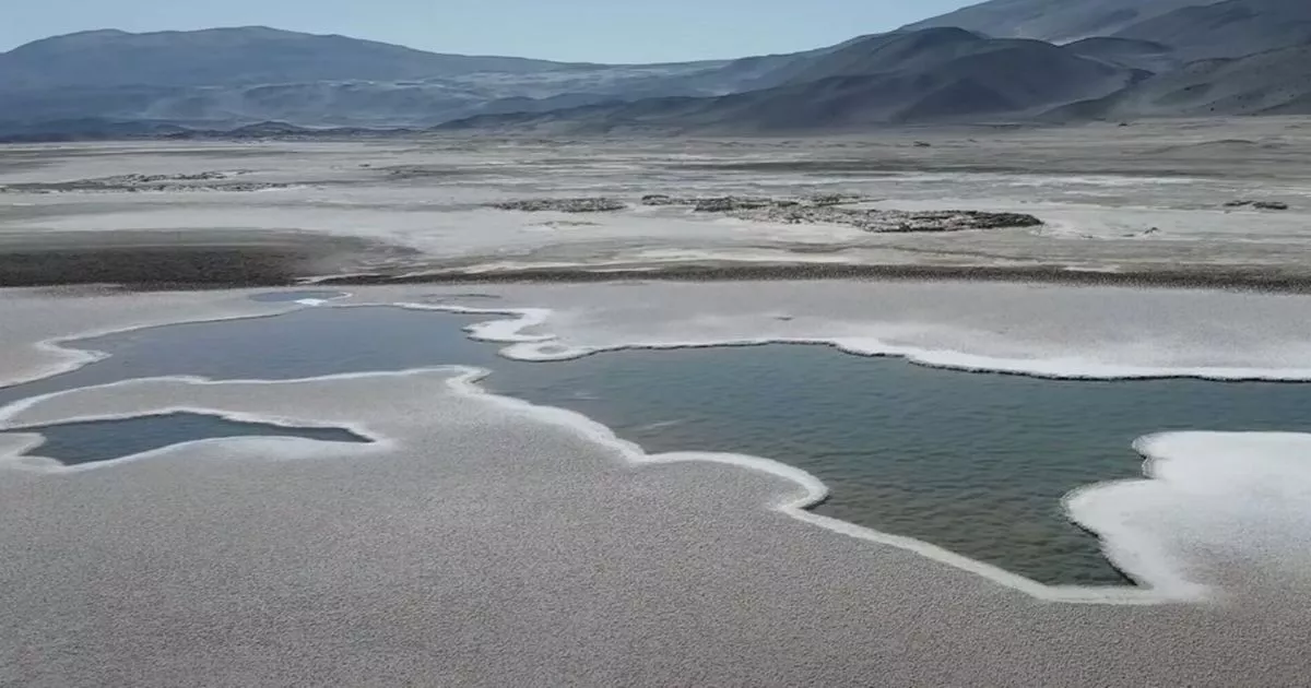 Prehistoric ‘lost world’ discovered is ‘example of earliest life on Earth’