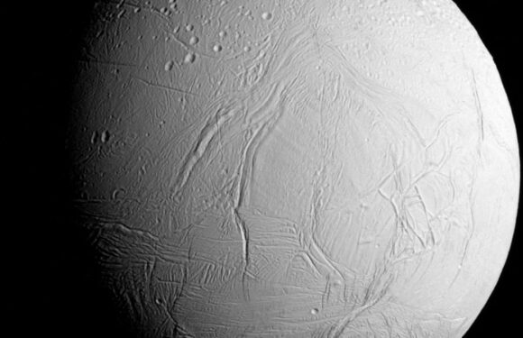 Saturn's moon could harbour ALIEN life, study suggests