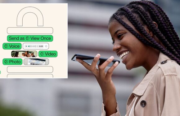 Sharing gossip? WhatsApp lets you send self-destructing voice notes