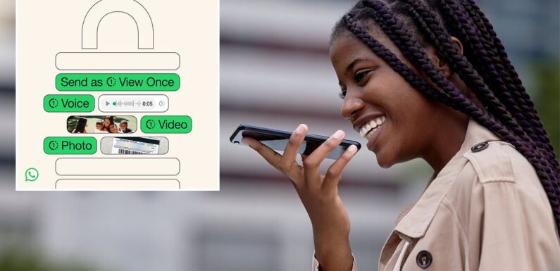 Sharing gossip? WhatsApp lets you send self-destructing voice notes