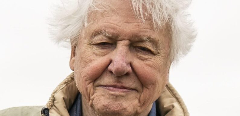 Sir David Attenborough's documentaries could be axed by BBC