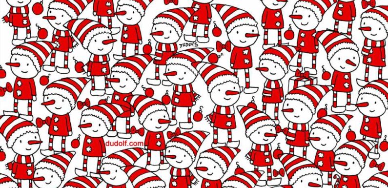 The first candy cane may be easy to find in this Christmas puzzle, but you've got 20/20 vision if you can spot all 3 | The Sun